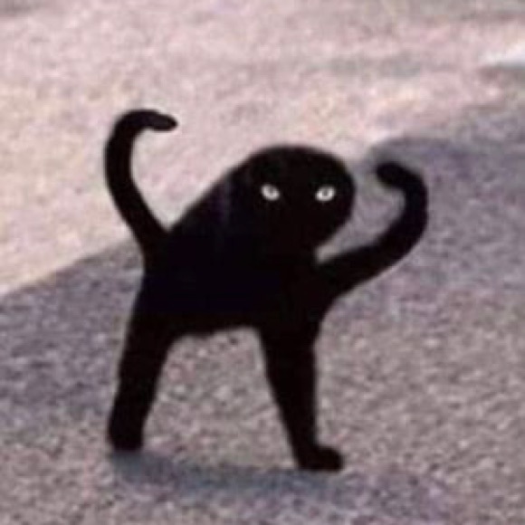 Meet your Posher, Lewis - Picture 1 of 1